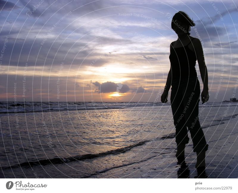 In the sea, just so Ocean Sunset Dark Beach Woman Evening Wind