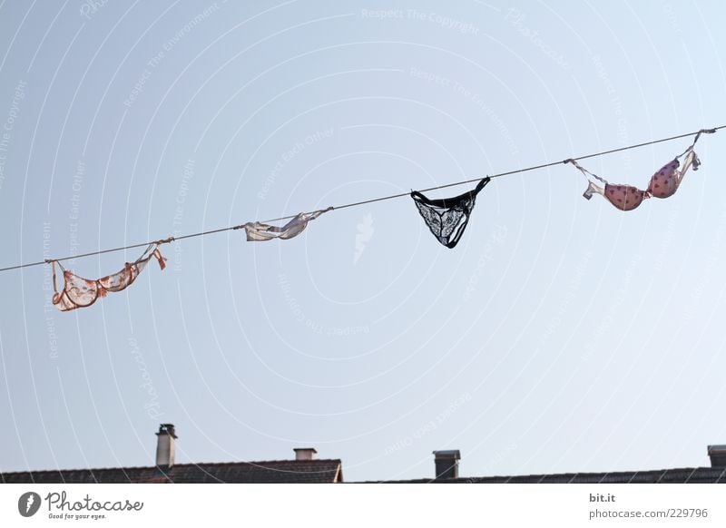 The freshly washed pink t-shirt shows the white underpants to the old  washcloth, in front of a blue sky, how to hang wet and fragrant on the rope  of the washing line