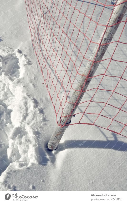My snow, your snow. Winter Snow Cold Fence Fence post Tracks Net Reticular Red Winter mood Snow layer Loop Colour photo Exterior shot Deserted Day Shadow