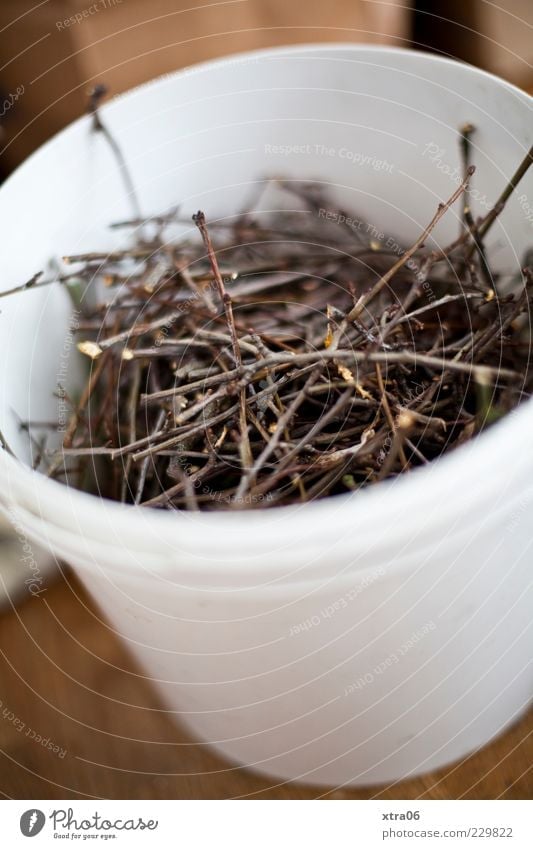 twigs Wood White Twigs and branches Colour photo Bucket Collection Shallow depth of field Deserted Close-up Thin Round Bird's-eye view Contents
