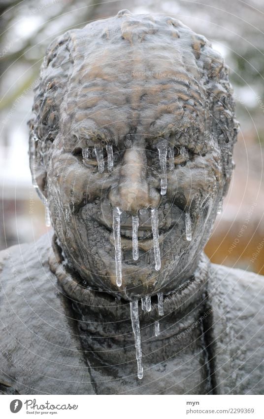 Healthy through the winter Human being Man Adults Head Face Sculpture Monument Metal Drop Freeze Smiling Looking Creepy Cold Statue Ice Icicle Frozen iciness