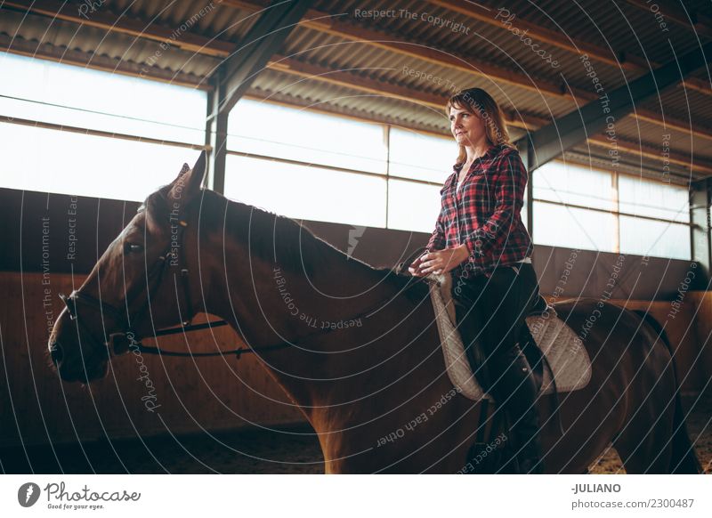 mature woman is practicing riding with her horse Lifestyle Ride Human being 30 - 45 years Adults Animal Farm animal Horse One animal Advice Vacation & Travel