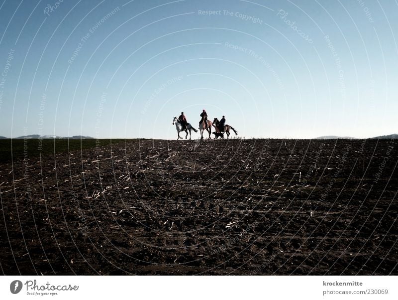 steppe ride Ride Nature Landscape Field Dog Horse 4 Animal Group of animals Free Blue Brown Love of animals Freedom Far-off places Horizon Horse's head Sparse