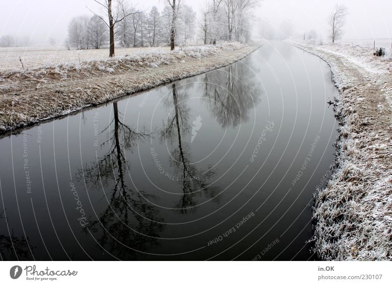 winter magic Landscape Water Winter Ice Frost Loneliness Exterior shot Day River bank Water reflection Cold Deserted Tree