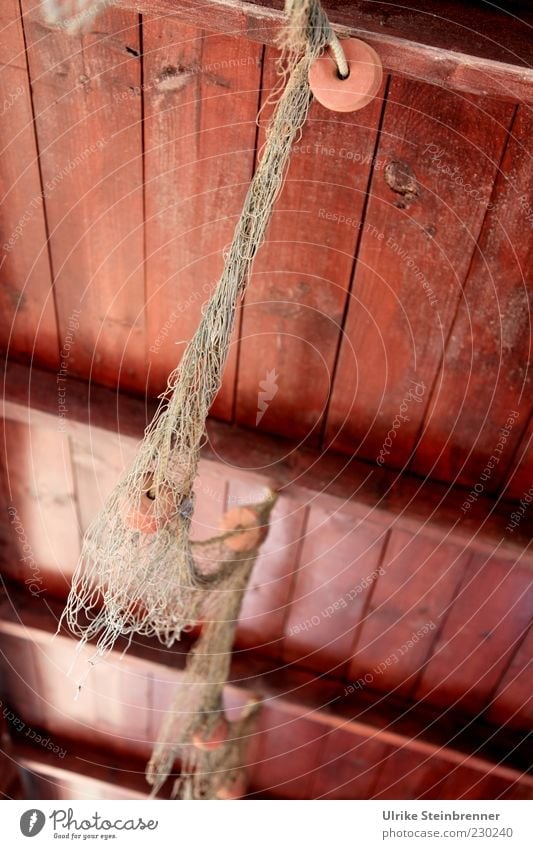 Fishing net as decoration on the ceiling of a harbor pub Decoration Blanket Wooden ceiling Hut Building Hang Old Original Brown Tradition Colour photo