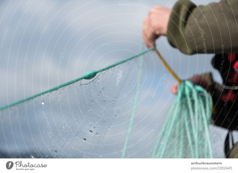 Fischer catches fish with fishing net Food Fish Nutrition Healthy Eating Leisure and hobbies Fishing (Angle) Professional training Apprentice