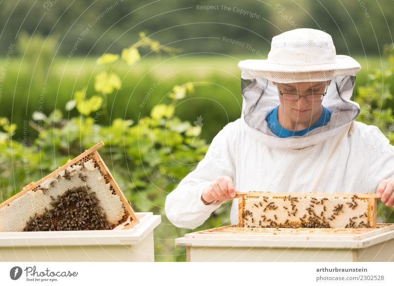 Young beekeeper controls beehive in training Food Honey Nutrition Breakfast Healthy Eating Leisure and hobbies Professional training Bee-keeper Agriculture