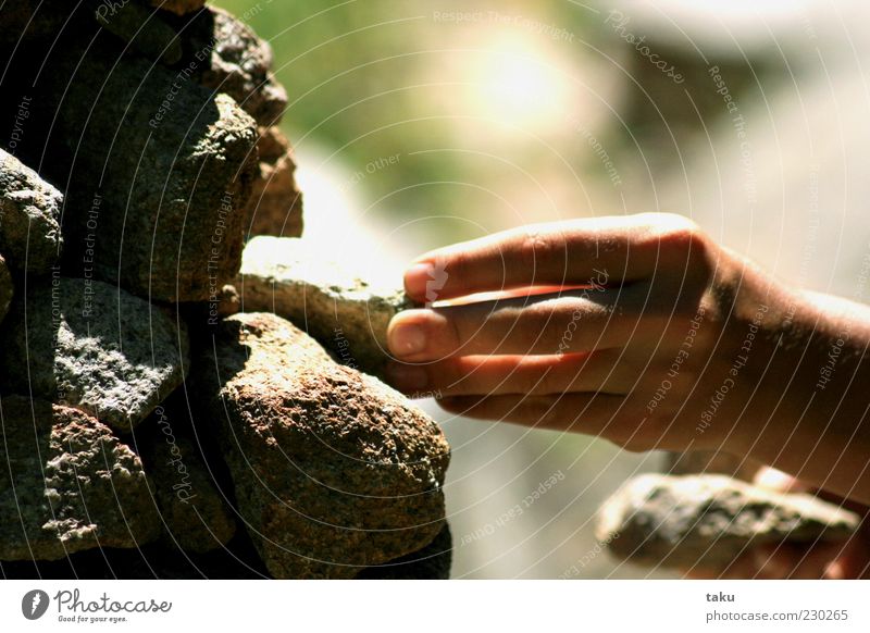 handsomes Summer Hand Fingers Rock Stone Brown Gray Green Movement Calm Environment Colour photo Exterior shot Light Shadow Sunlight To hold on 1 Copy Space top