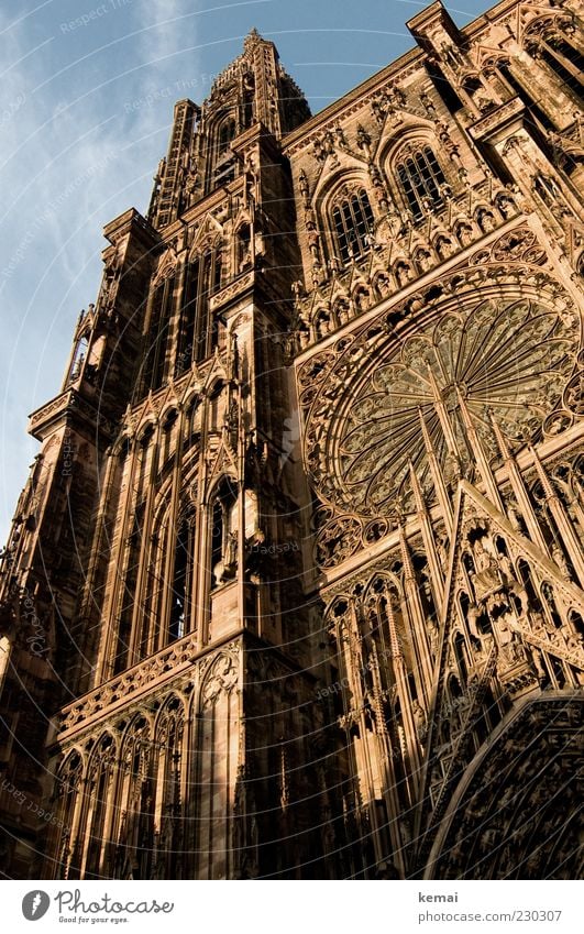 Strasbourg Cathedral Old town Church Manmade structures Building Architecture Strasbourg cathedral Facade Tourist Attraction Landmark Sandstone Large Bright