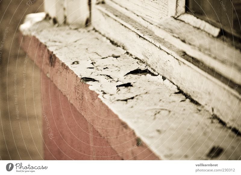 windowsill Wall (barrier) Wall (building) Window Concrete Old Window board Wood Flake off Colour photo Exterior shot Detail Deserted Day Pink White Weathered
