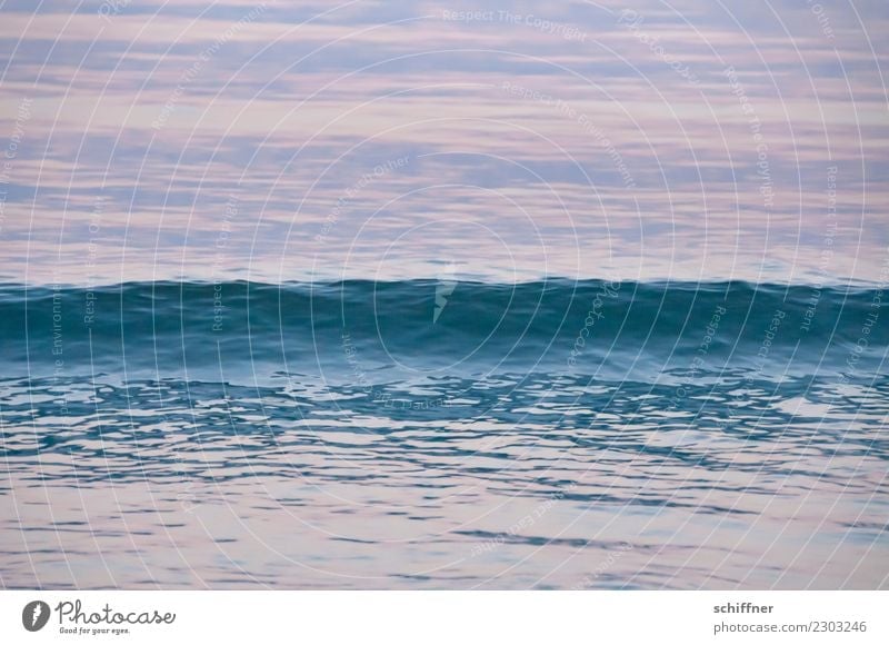 Texture | of the wave Nature Water Waves Ocean Blue Pink Surface of water Sea water Atlantic Ocean Swell Undulation Undulating Crest of the wave Evening Dusk