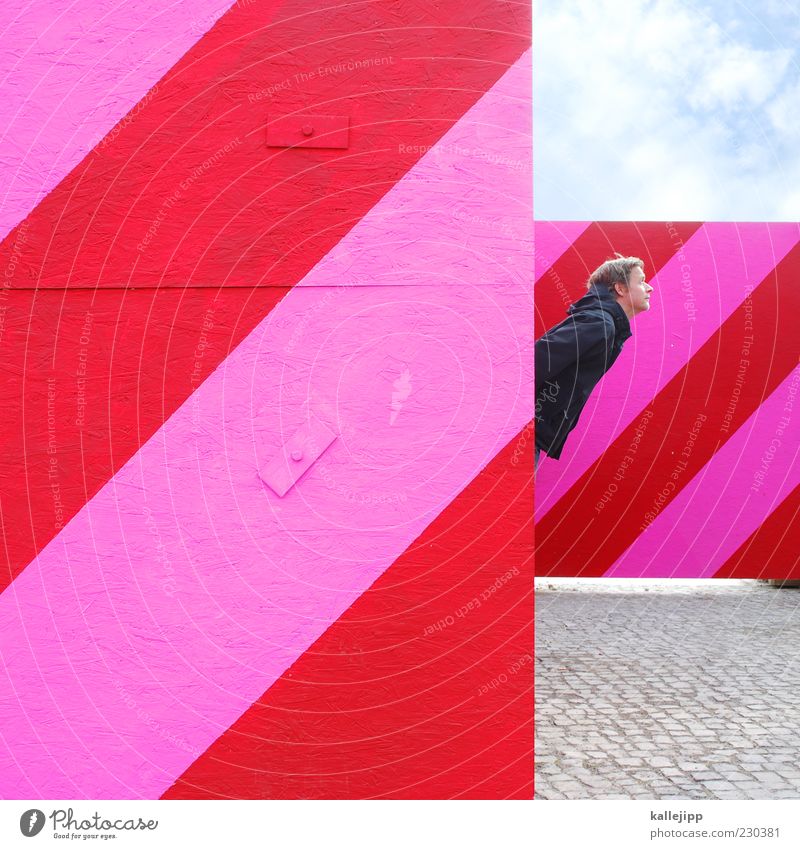 graphic designer Human being Masculine Man Adults Head 1 30 - 45 years Looking Pink Red Stripe Fence Barrier Design Colour photo Multicoloured Exterior shot