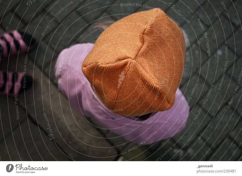 < 0 Human being Child Toddler Head 3 - 8 years Infancy Vignetting Colour photo Exterior shot Day Shallow depth of field Bird's-eye view Cap Brown Violet Stand