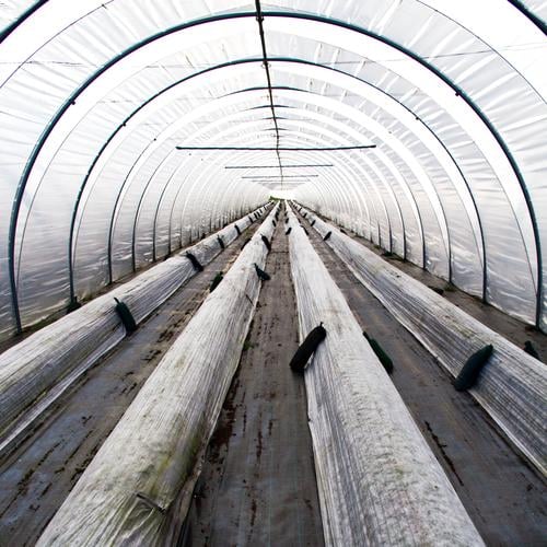In the foil tunnel Nutrition Gardener Workplace Greenhouse Agriculture Forestry Agricultural crop Tunnel Plastic-wrapped bed Authentic Long Round Gray Black