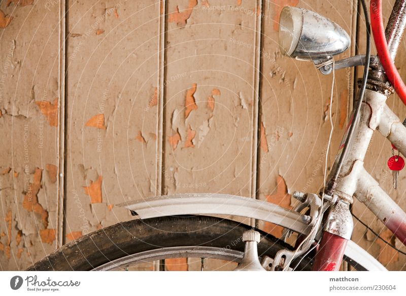 Diamond from the front Bicycle Wood Metal Old Retro Red White Decline Past Transience Colour photo Interior shot Day Lamp Guard Wheel Tire Wooden facade