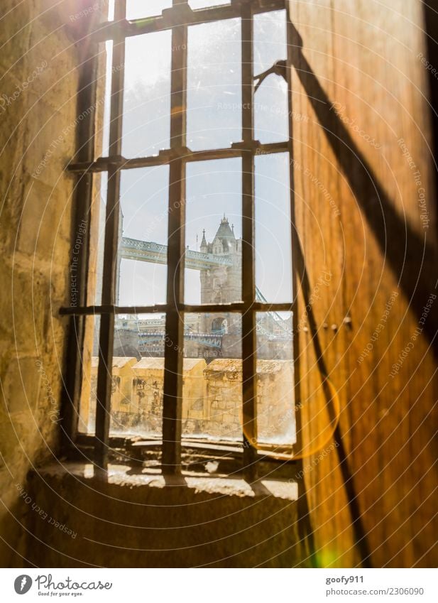 Window with a view Vacation & Travel Tourism Trip Sightseeing City trip London Great Britain Town Capital city Downtown Bridge Building Architecture