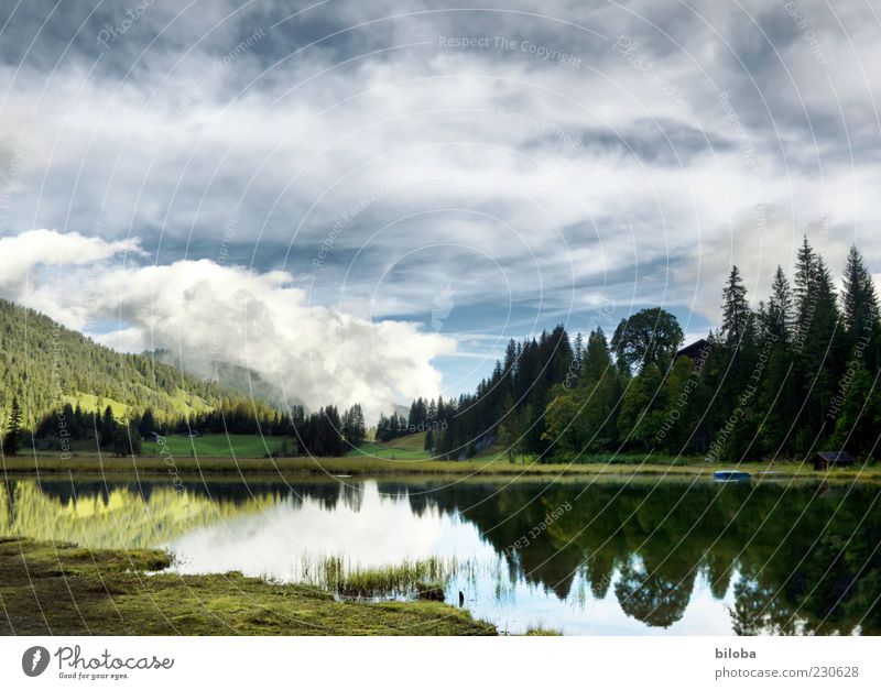 Lauenensee Nature Landscape Clouds Spring Lakeside Blue Green White Loneliness Uniqueness Idyll Reflection Forest HDR Deserted Copy Space top Morning