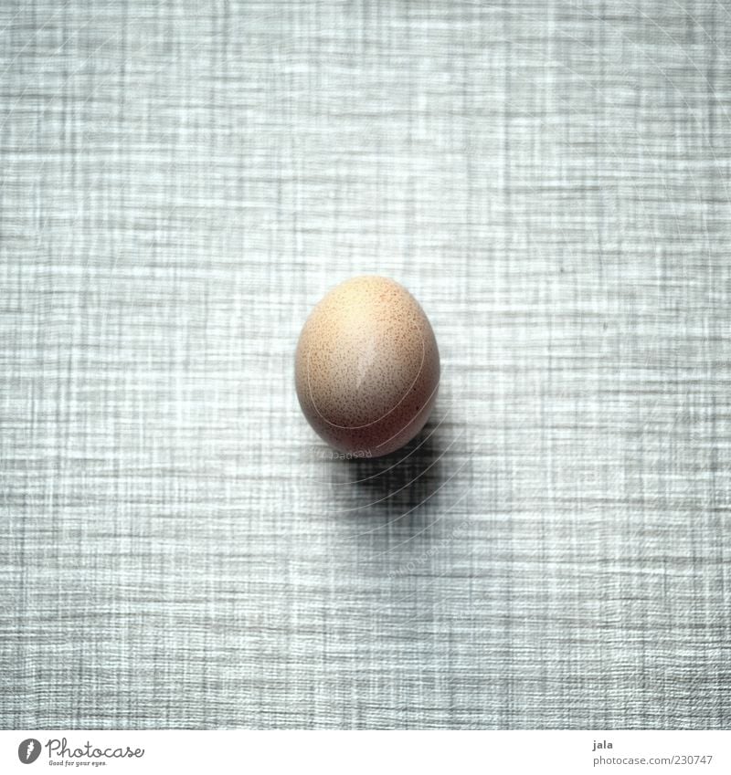 egg Food Nutrition Organic produce Simple Fresh Round Brown Gray Black White Egg Cholesterol Colour photo Interior shot Deserted Copy Space left