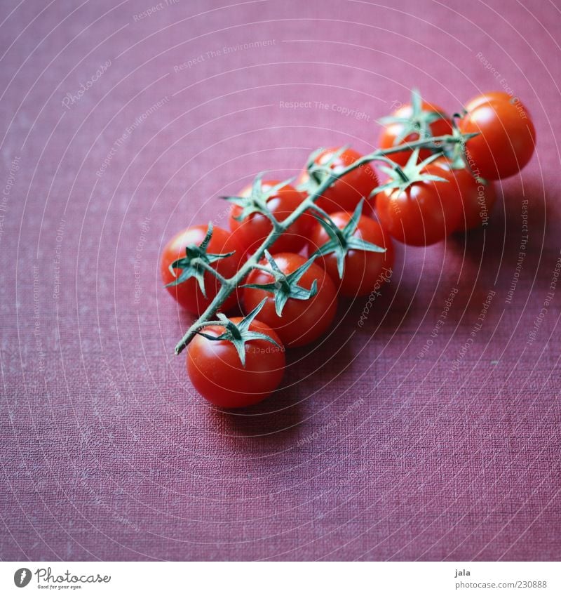 tomatoes Food Vegetable Tomato Nutrition Organic produce Vegetarian diet Healthy Delicious Pink Red Vitamin Colour photo Interior shot Deserted Copy Space left
