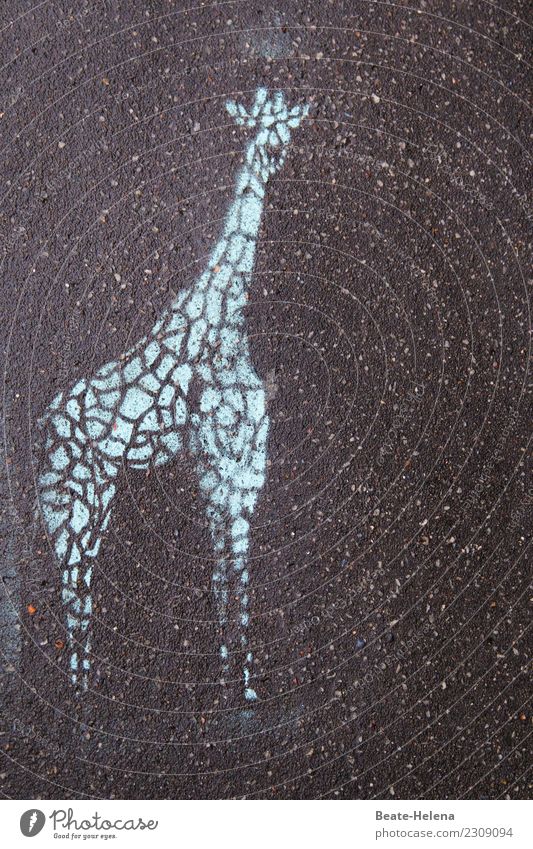 I'm sorry, but the giraffe's long life has been rocky. Elegant Flat (apartment) Work of art Environment Road traffic Street Wild animal Giraffe 1 Animal Stone