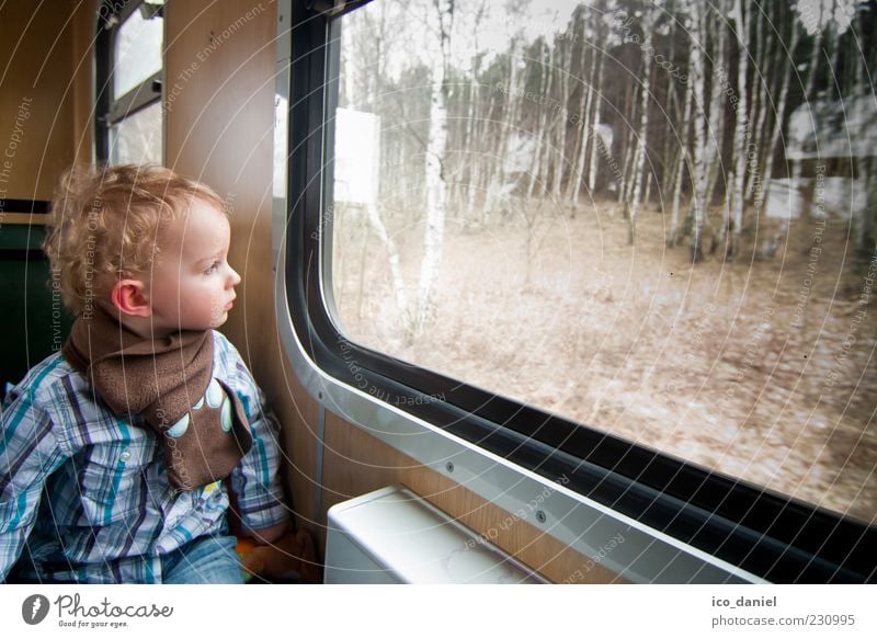 A train ride, it's funny. Vacation & Travel Tourism Trip Masculine Child Toddler Boy (child) Infancy 1 Human being 1 - 3 years Forest Looking Blonde Joy Happy