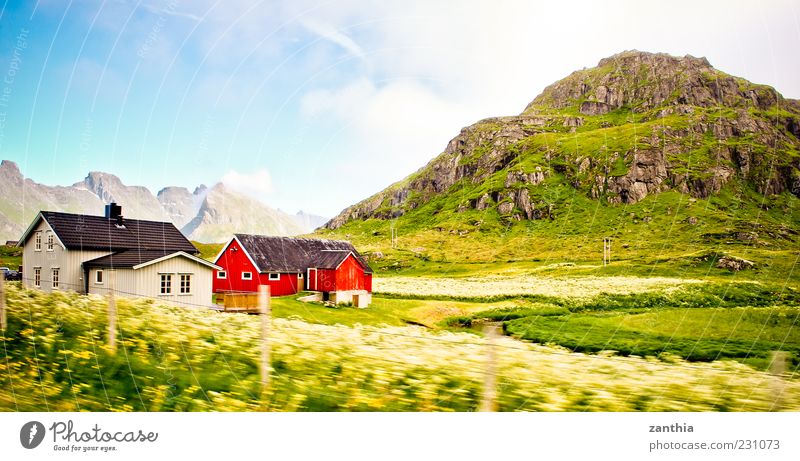Norway Environment Nature Landscape Sky Clouds Summer Beautiful weather Meadow Hill Rock Mountain House (Residential Structure) Detached house Hut