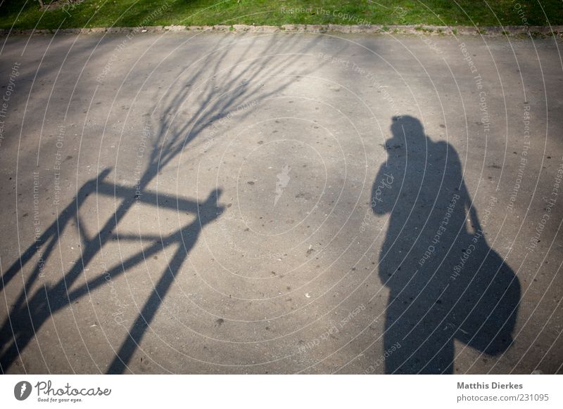transparency 1 Human being Uniqueness Photographer Photography Park Sidewalk Lawn Tree Shadow Shadow play Colour photo Exterior shot Experimental Copy Space top