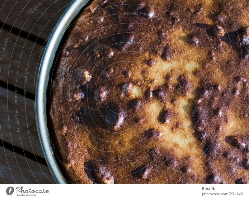 Aunt Erna's Cheesecake Dough Baked goods Cake cheese cake Fragrance Fresh Delicious Round Juicy Baking tin Colour photo Exterior shot Shallow depth of field