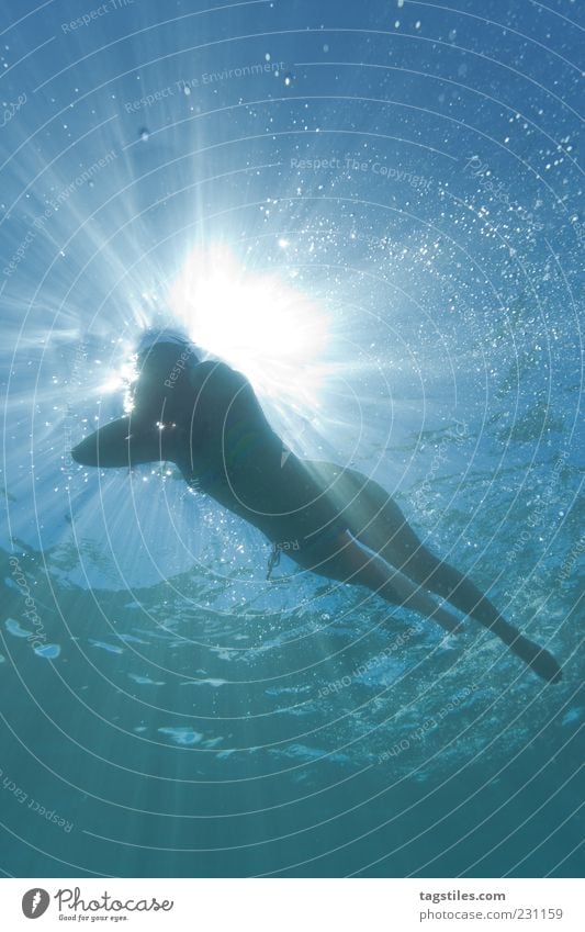 SHARK VIEW Perspective Vacation & Travel Woman Swimming & Bathing Float in the water Water Ocean Back-light Sun Sunbeam Air bubble Silhouette Beam of light