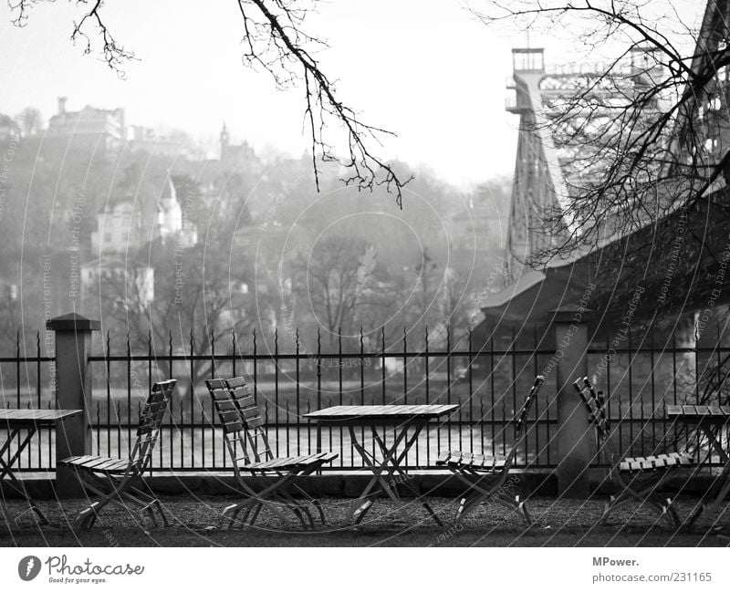 view of the Elbe Bridge Building Stone Wood Steel Rust Water Center point Fence Chair Café Dresden Point River Elbe bank Gray Gloomy Branch Restaurant