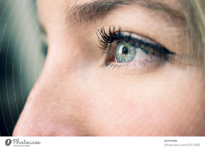 Close-up shot of young woman's eye Beautiful Skin Make-up Human being Feminine Young woman Youth (Young adults) Woman Adults Eyes 1 18 - 30 years Natural Blue