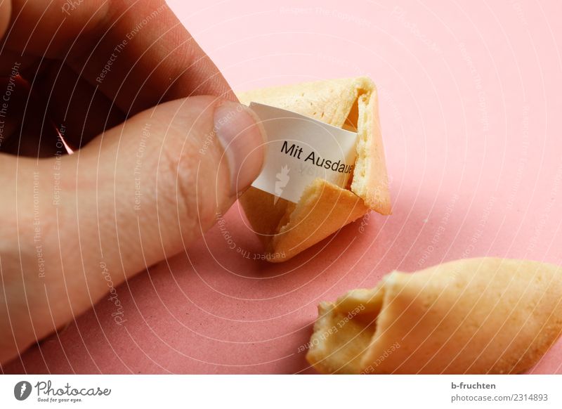 fortune cookie Candy Man Adults Hand Fingers Discover To hold on Looking Pink Happy Hope Belief Joy Mysterious Fortune cookie Undo Figure of speech Wisdom
