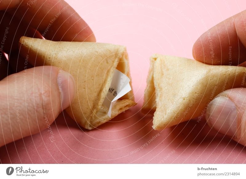 Chinese style fortune cookie with paper mottos Candy Man Adults Fingers Discover To hold on Looking Pink Happy Curiosity Fortune cookie Undo Cookie