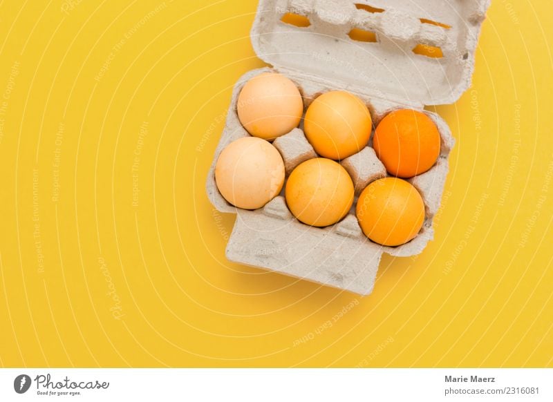 Yellow coloured Easter eggs on yellow background Food Egg Nutrition Style Joy Eating Feasts & Celebrations Esthetic Happiness Fresh Orange Contentment Colour
