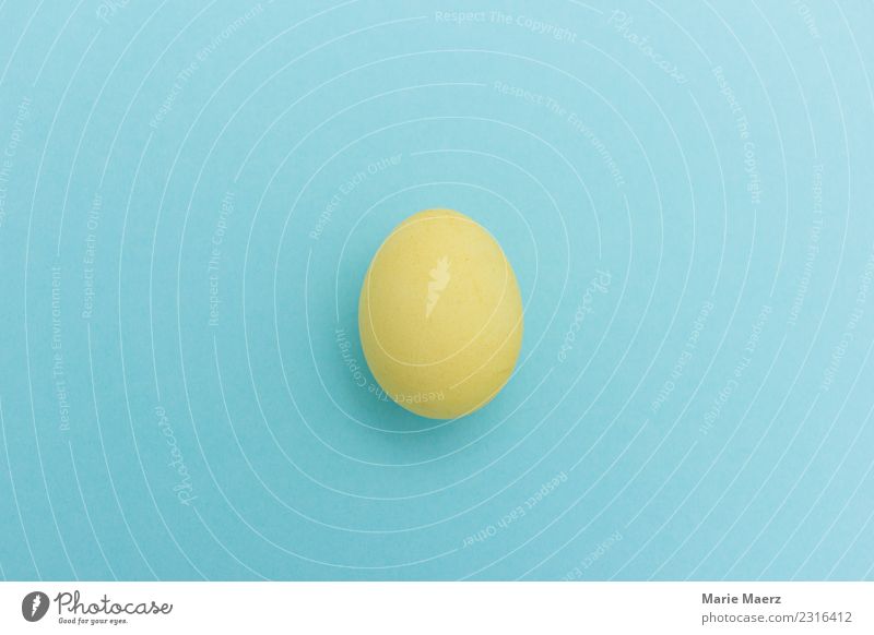 Yellow Easter egg Egg Eating Simple New Blue Curiosity Expectation Creativity Pure Surprise Delicate Sensitive Fragile Closed Barn fowl 1 boil Colour photo