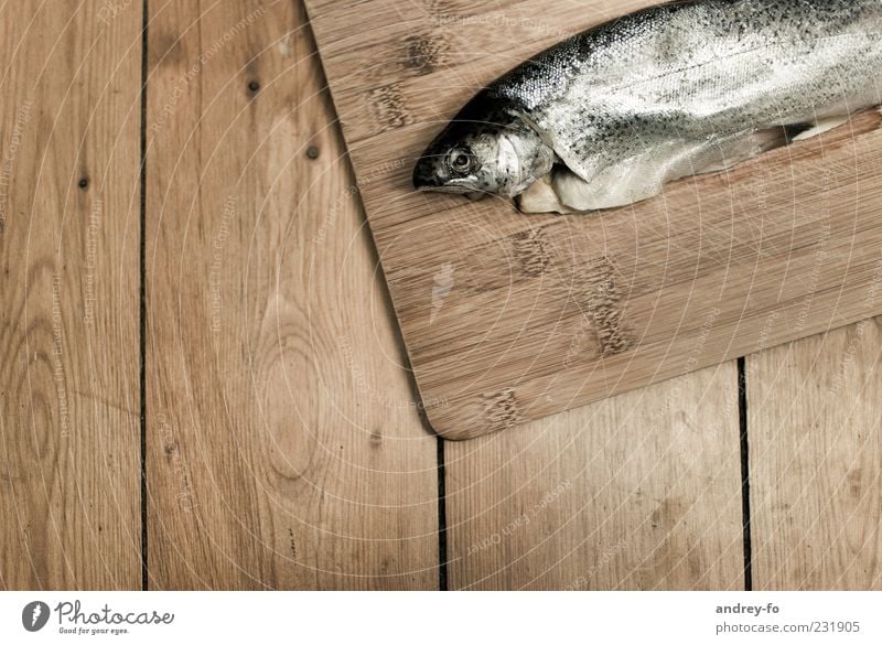fish Animal Fish 1 Wood Lie Fresh Brown Trout Tabletop Wooden board Scales Food Organic produce Subdued colour Animal portrait Wet Bird's-eye view Colour photo