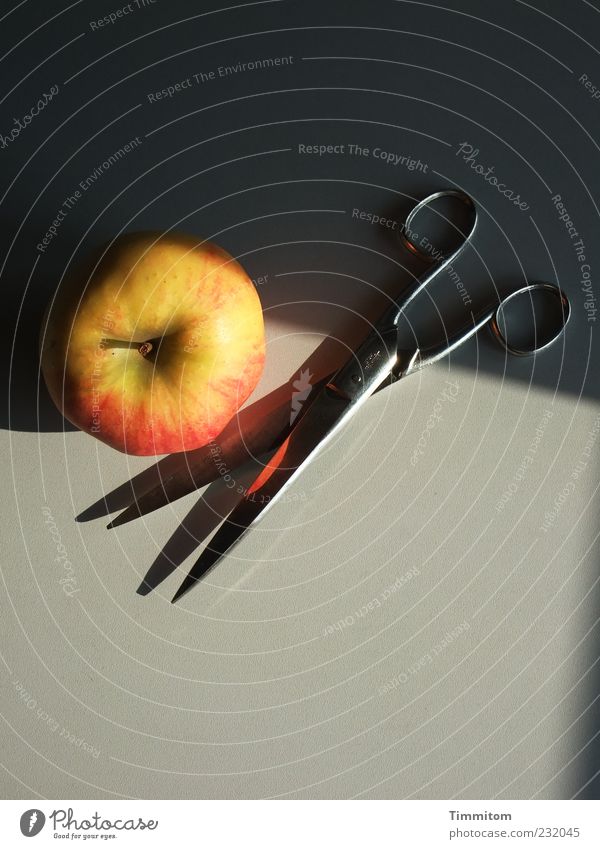 friends Food Apple Scissors Steel Glittering Gray Still Life Esthetic Colour photo Interior shot Deserted Copy Space bottom Day Shadow Contrast Reflection