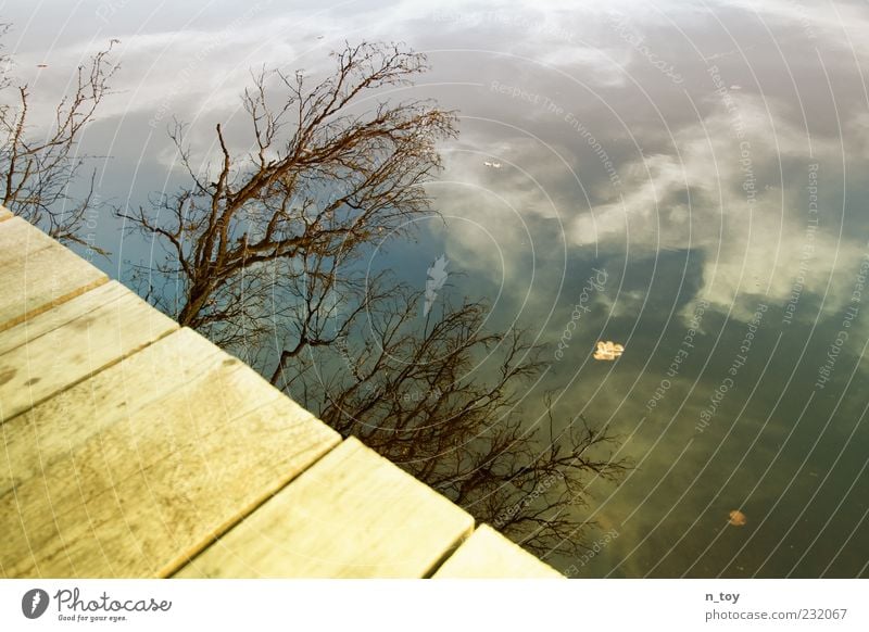 lake view Sky Clouds Tree Lakeside Water Relaxation Calm Footbridge Branch Reflection Colour photo Exterior shot Evening Twigs and branches Surface of water