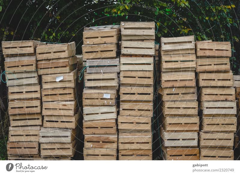 stacked wooden crates Food Wooden box Box of fruit Workplace Economy Agriculture Forestry Industry Craft (trade) Nature Landscape Field Work and employment