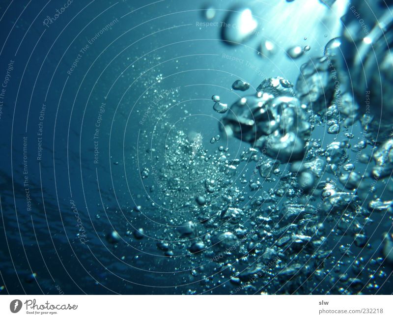 UnderWater Dive Nature Ocean Clean Blue Moody Multicoloured Underwater photo Deserted Copy Space left Day Artificial light Air bubble Bubbling Upward