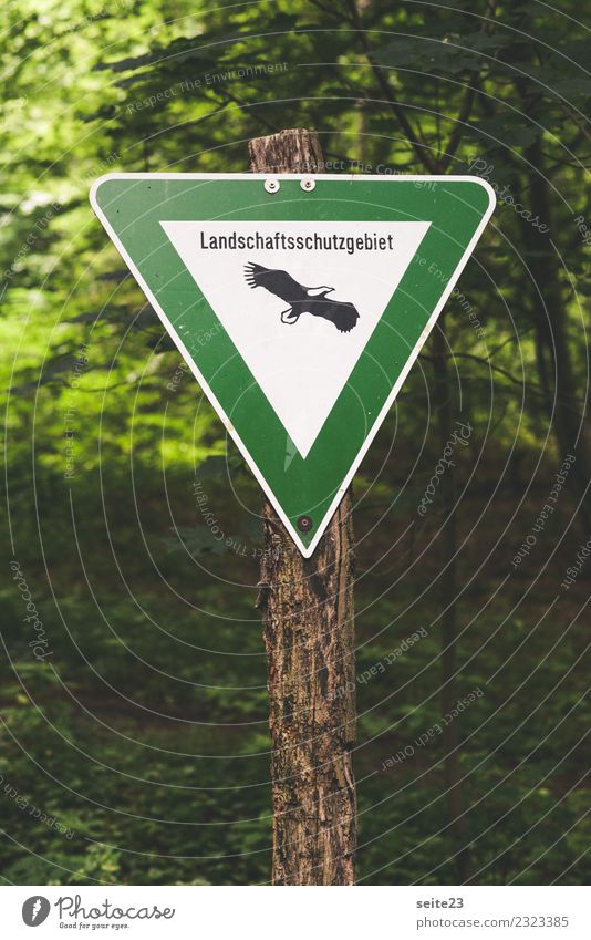 Shield in the forest Nature reserve Signs and labeling Forest Tree Environment Plant Animal Environmental protection White-tailed eagle Manmade structures