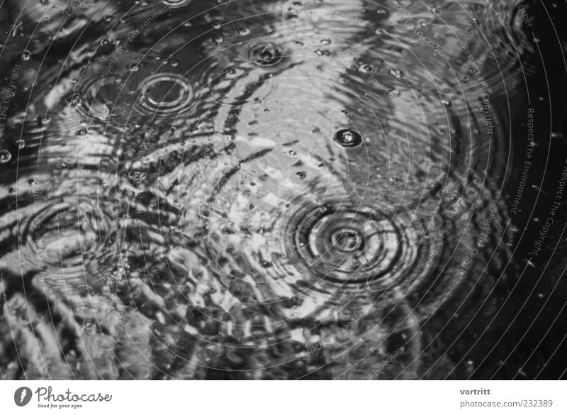 a rainy day Nature Weather Bad weather Rain Pond Lake Water Threat Cold Uniqueness Symmetry Drops of water Circle Reflection Black & white photo Deserted Day