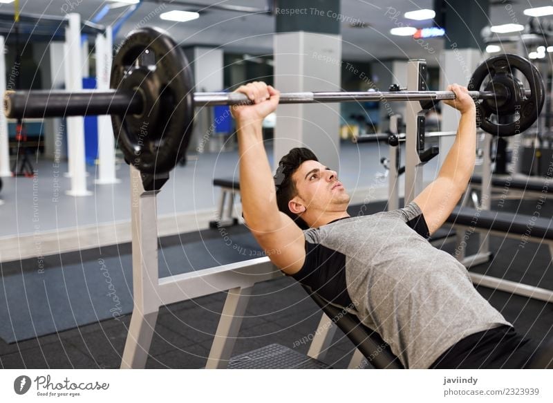 Young man bodybuilder doing weight lifting in gym Body Sports Masculine Youth (Young adults) Man Adults 1 Human being 18 - 30 years Fitness Muscular Strong