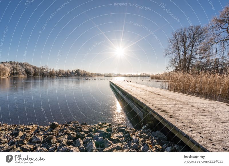 Lake in winter Vacation & Travel Winter Baltic Sea Cold Blue 2018 Bansin Ice Frozen Body of water Hoar frost Common Reed Schloonsee sunshine solar star bank