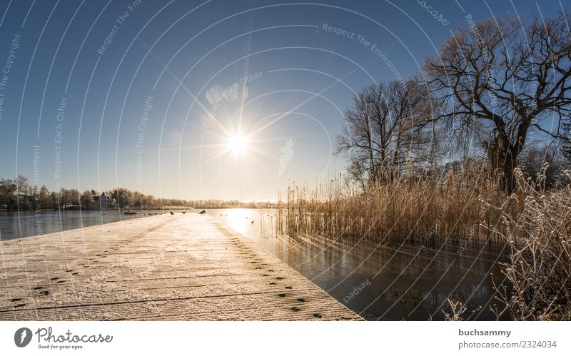 Sunflare over a jetty in the lake Vacation & Travel Winter Baltic Sea Lake Cold Blue 2018 Bansin Ice Frozen Body of water Hoar frost Common Reed Schloonsee