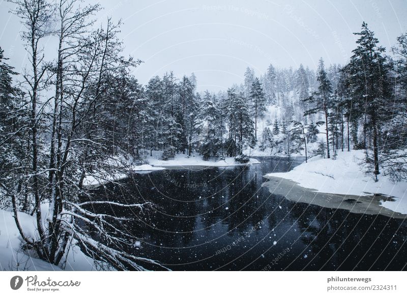 Lake and forest in winter with snowfall in Norway Vacation & Travel Trip Adventure Far-off places Freedom Expedition Nature Landscape Water Sky Winter Climate