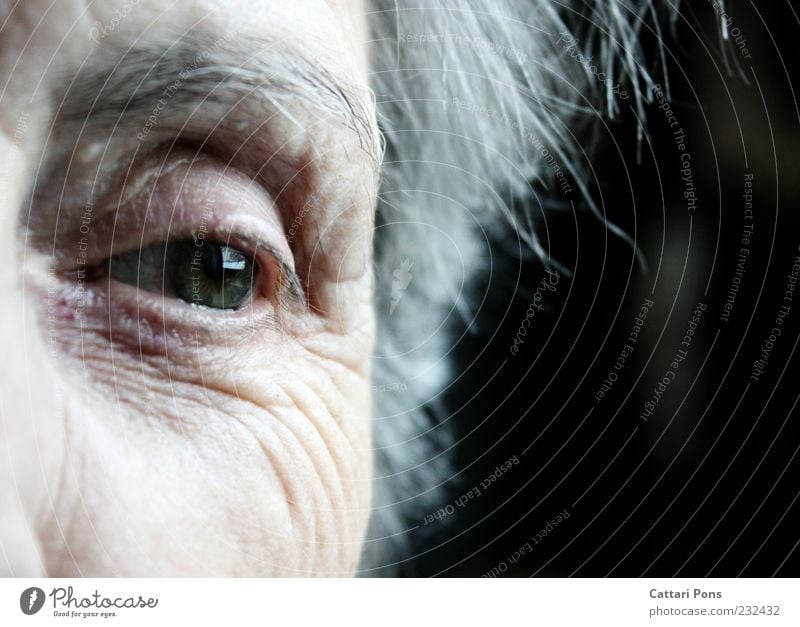 I never lost you in my heart! Human being Female senior Woman Skin Eyes 1 White-haired Short-haired Observe Think Dream Old Near Natural Gray Green Loneliness