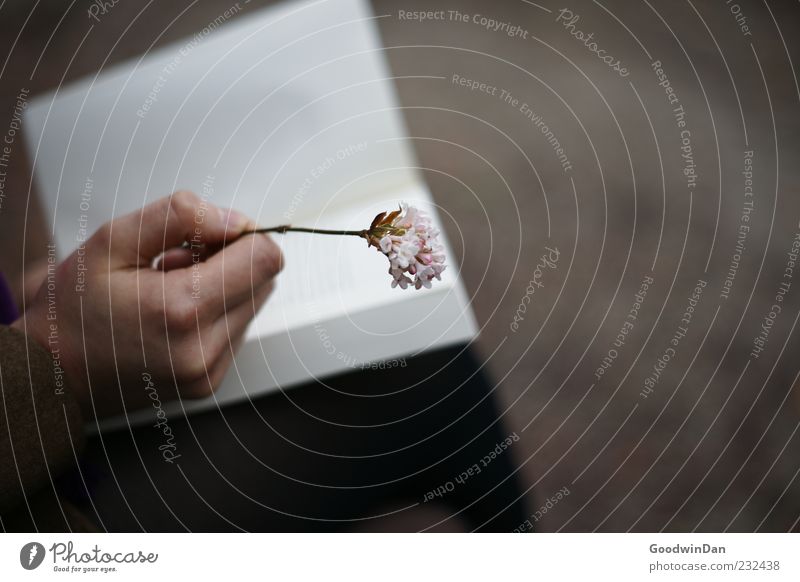 Goodbye. Human being Feminine Hand 1 Environment Nature Flower Book To hold on Authentic Near Beautiful Moody Colour photo Exterior shot Day Blur