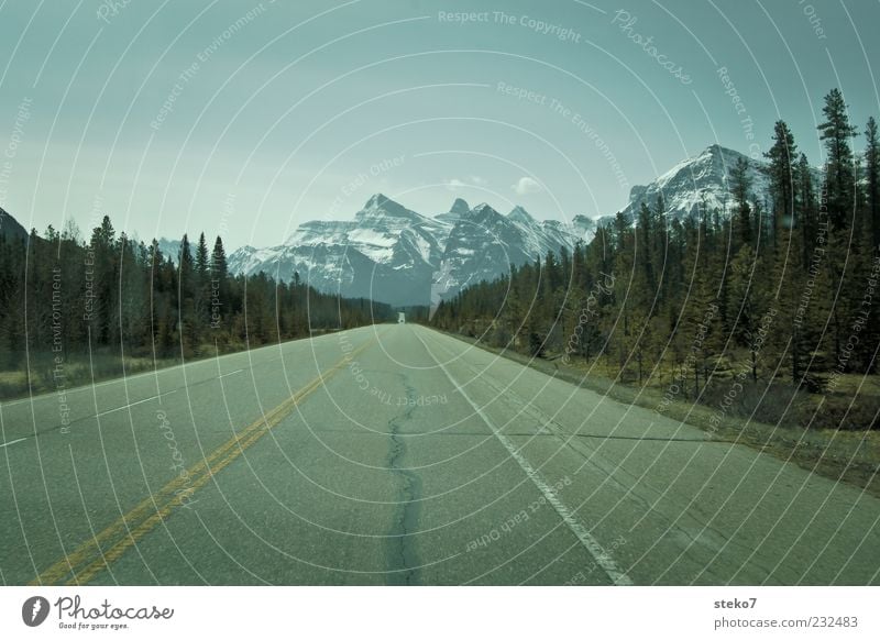 trunk road Cloudless sky Horizon Mountain Snowcapped peak Street Driving Beginning Loneliness Freedom Far-off places Canada Icefield parkway Wanderlust
