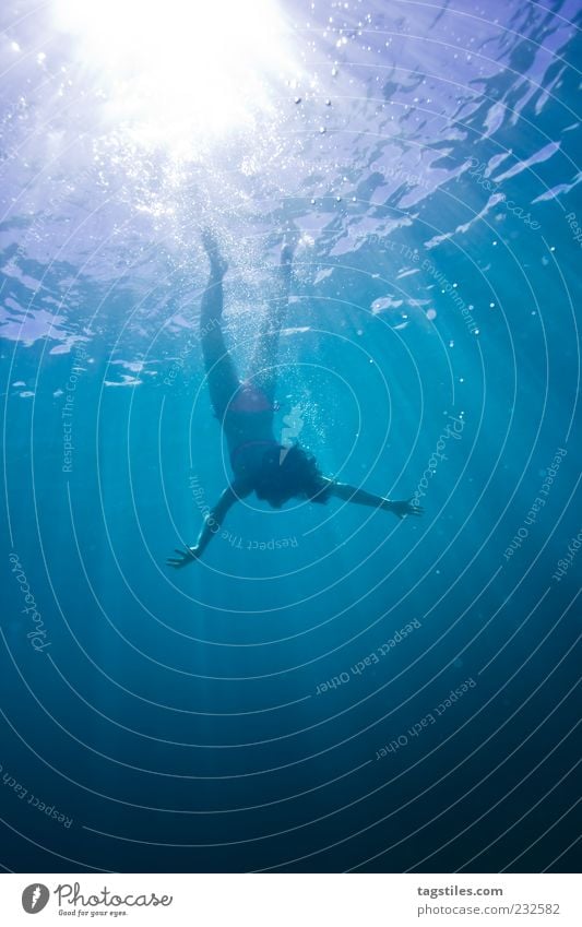 FREE FALLIN' ... Free To fall Sudden fall Dive Swimming & Bathing Float in the water Woman Water Ocean Nature Relaxation Vacation & Travel Leisure and hobbies